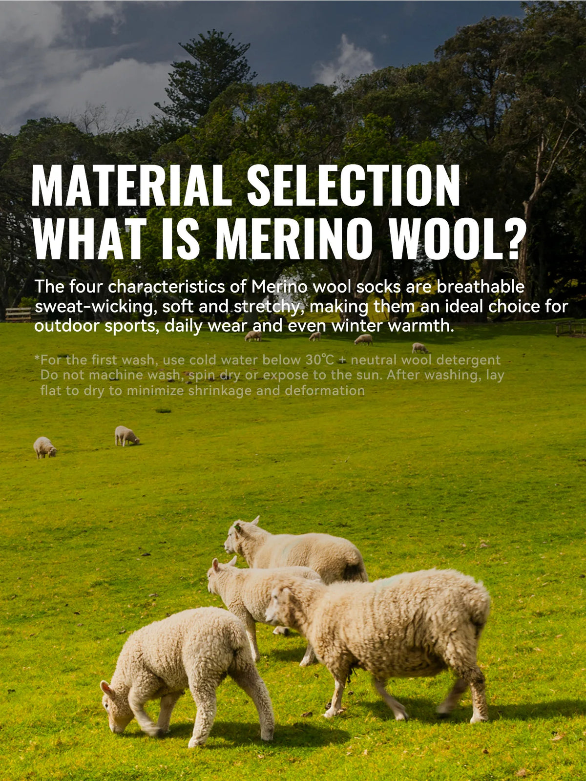 Neve Hoar Merino Ski Sock